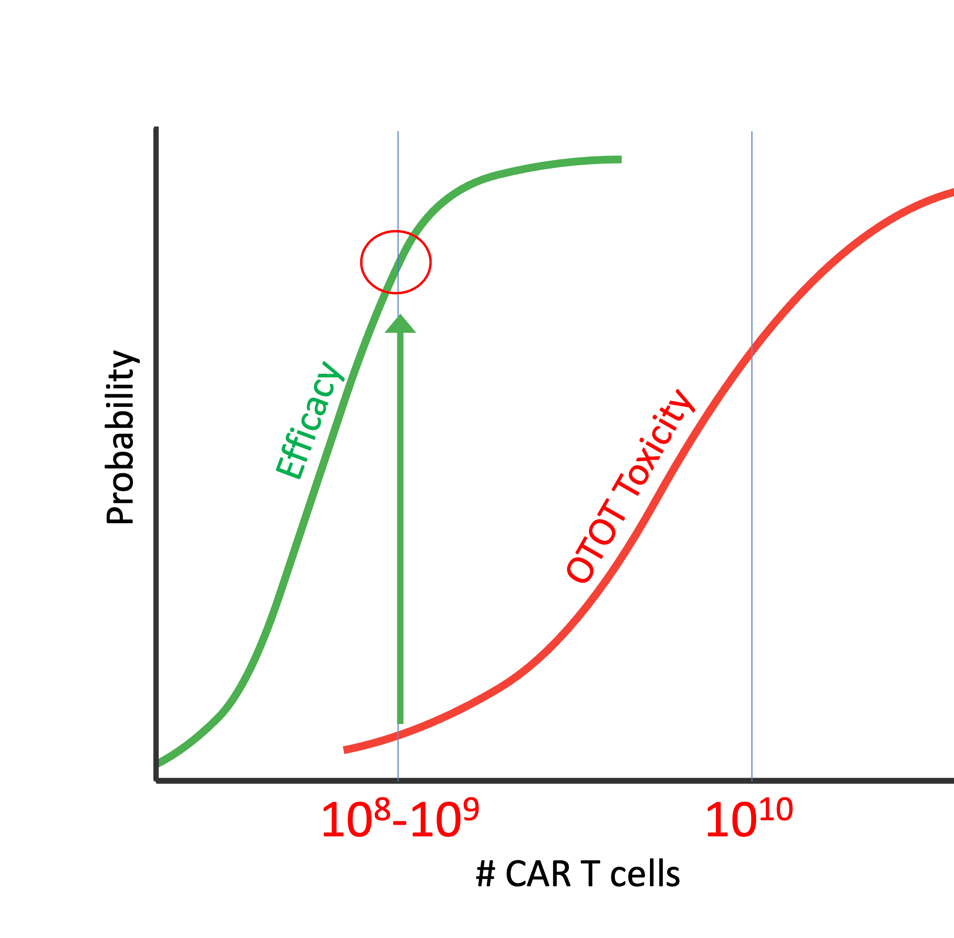 Widened therapeutic window: controlling extensive radioresistant disease